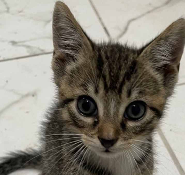 Photo of Timmy