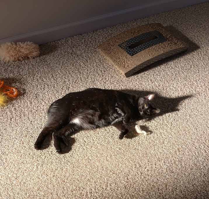 Photo of Minnie