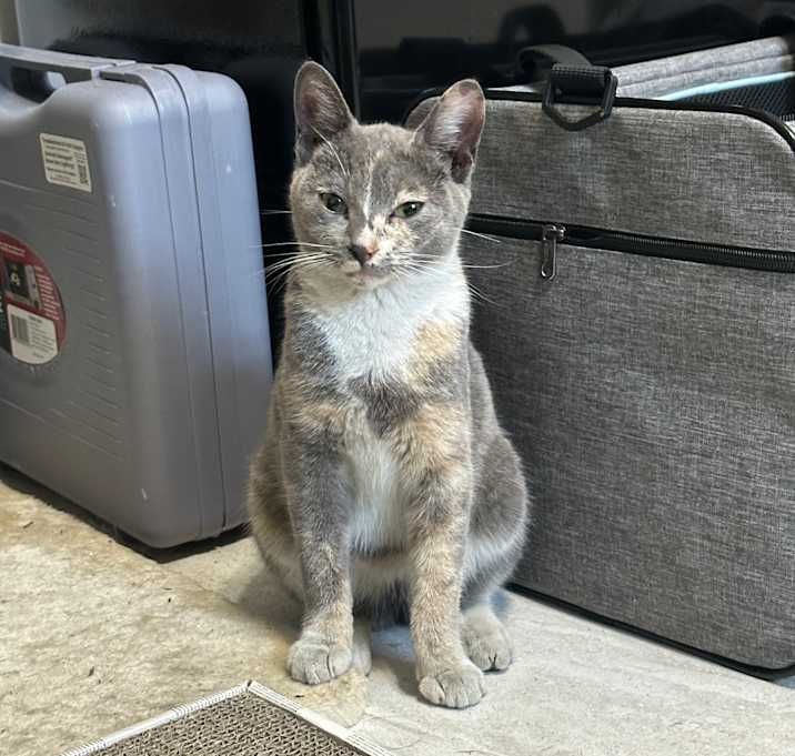 Photo of Kiara