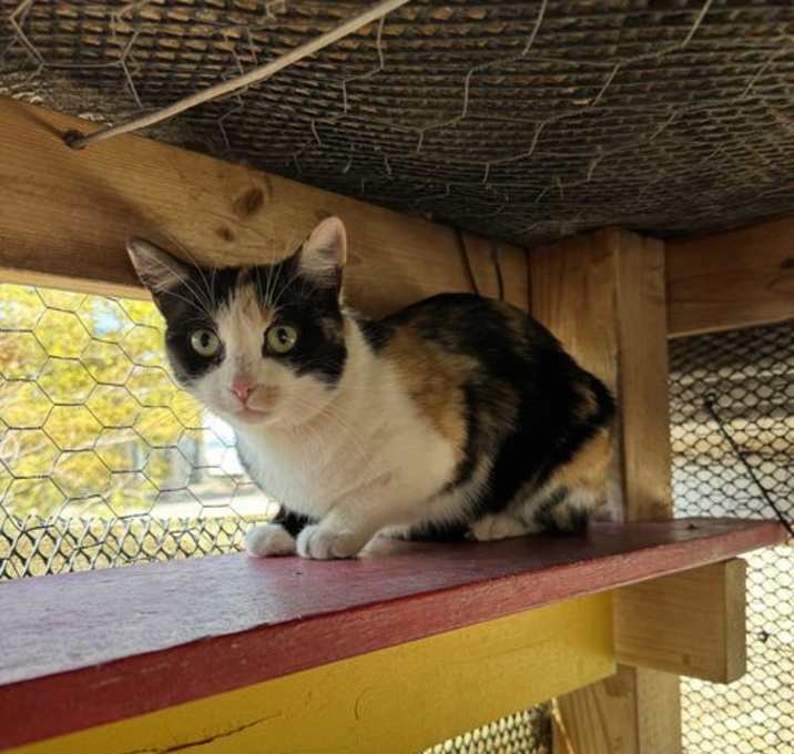 Photo of Jasmine
