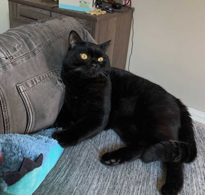 Photo of Oliver