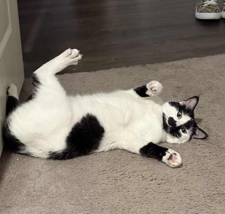 Photo of Earl