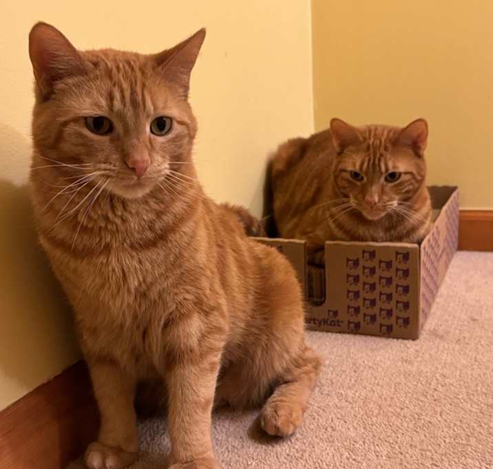 Photo of Tom & Jerry