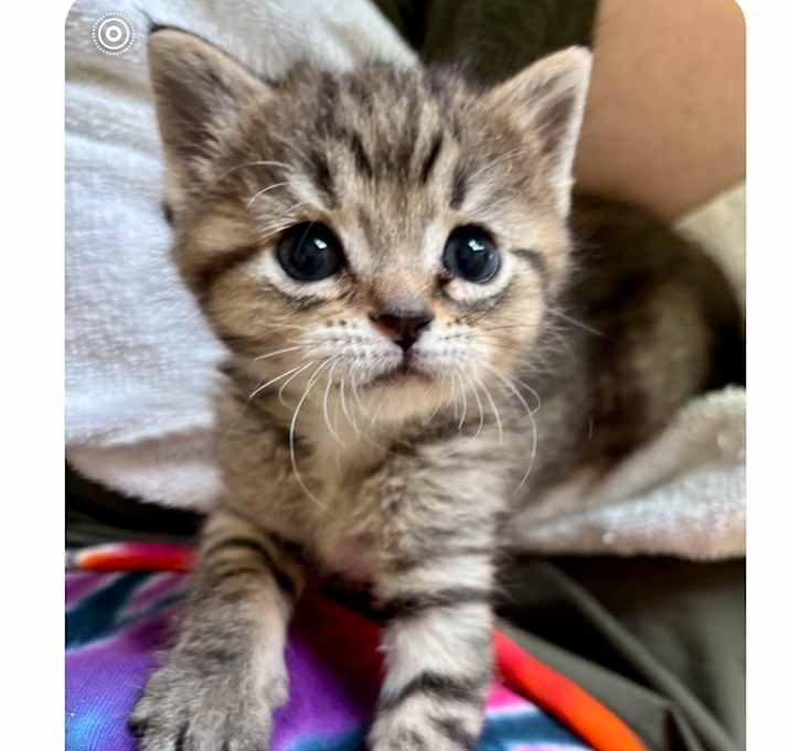 Photo of Micah