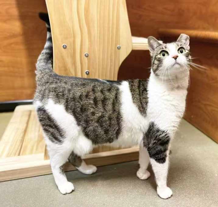Photo of Freya