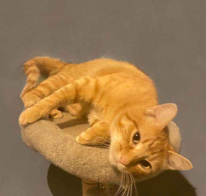 Photo of Paddy O'Malley
