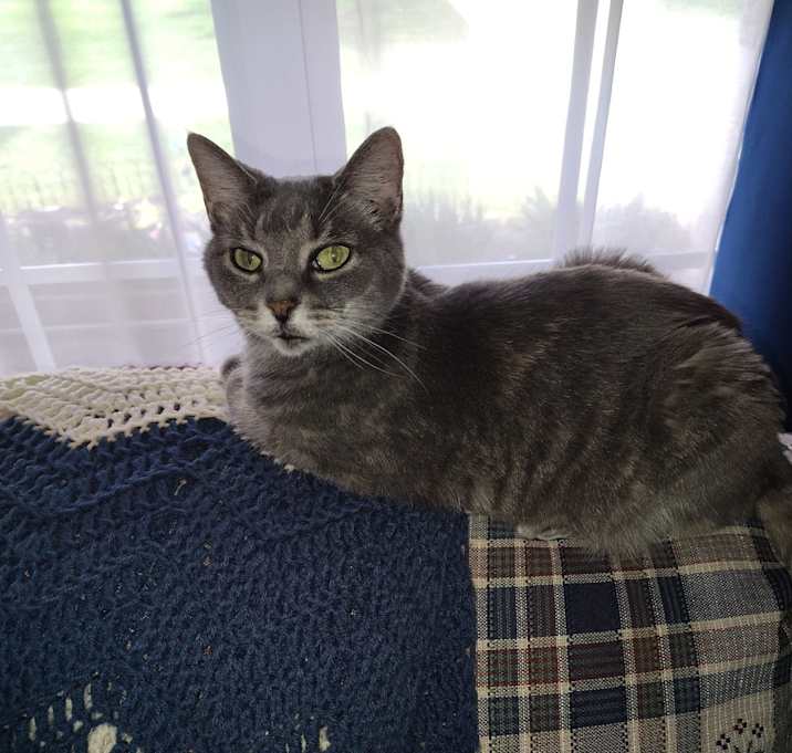 Photo of Te'ja