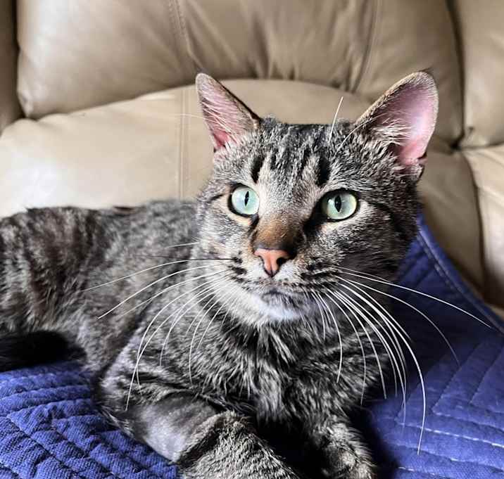 Photo of Edward