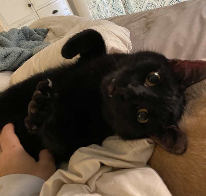 Photo of Cali