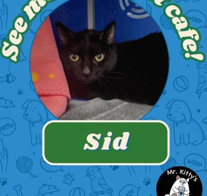 Photo of Sid