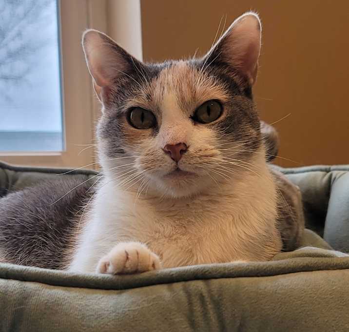 Photo of Celina