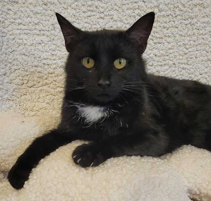 Photo of Wednesday