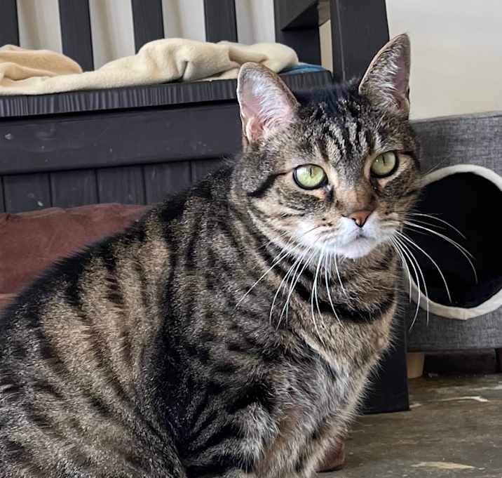 Photo of Max