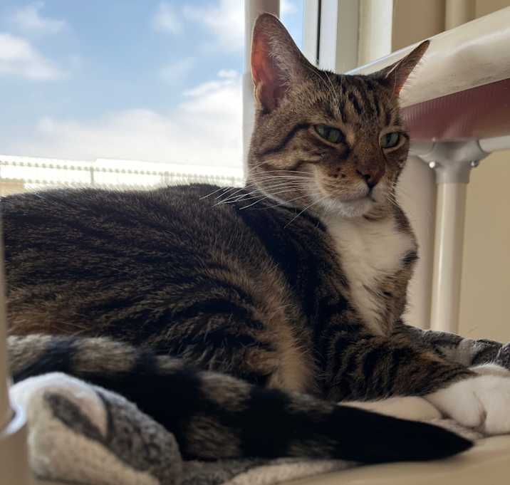 Photo of Missy