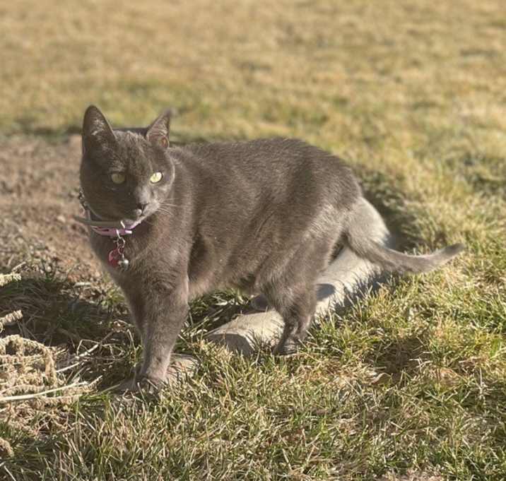 Photo of Grace