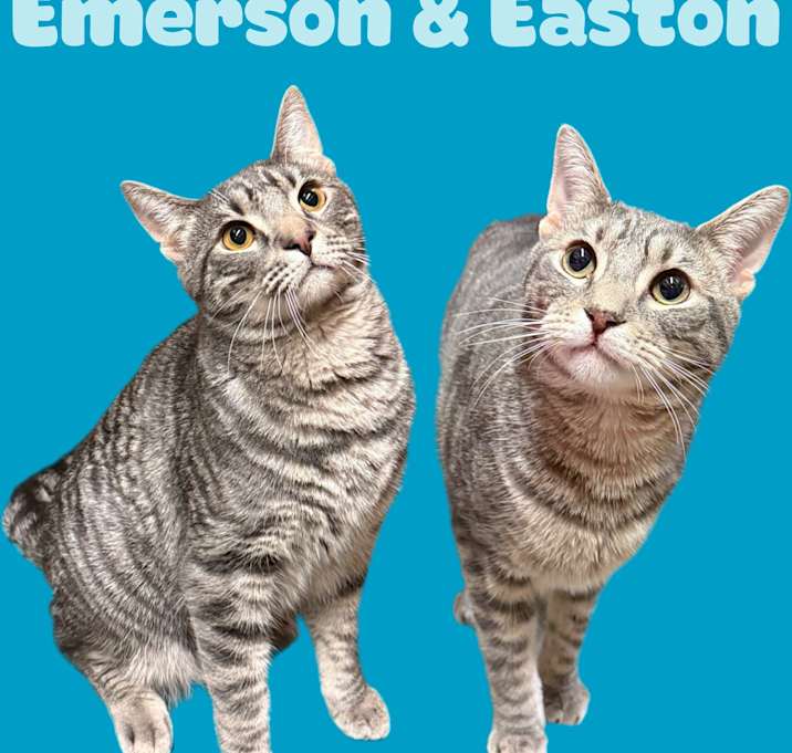 Photo of Emerson and Easton
