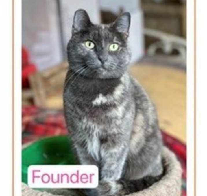 Photo of Founder