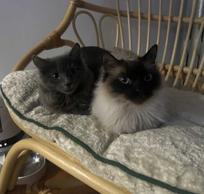 Photo of EWEGENE & ORORO