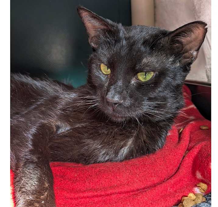 Photo of Neighbor Tommy