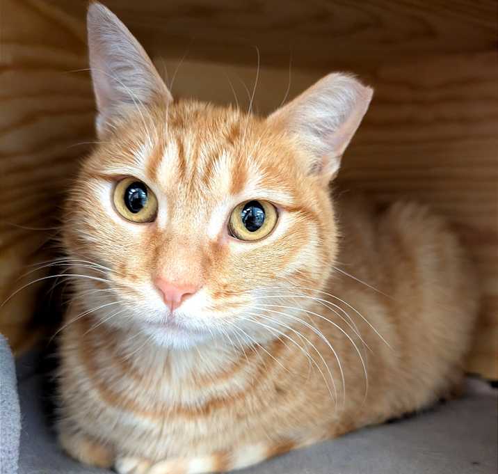 Photo of Munchkin