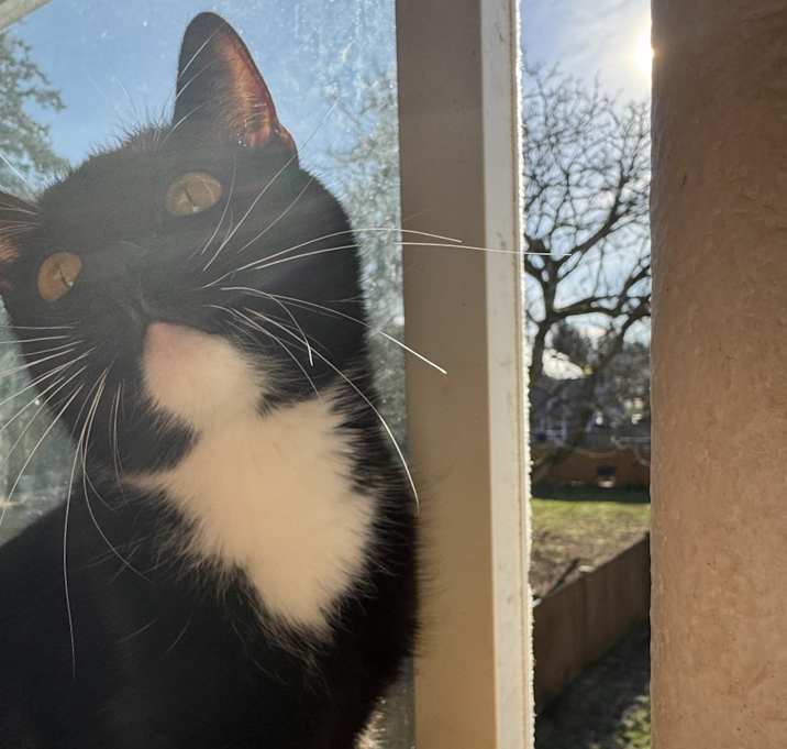 Photo of (Misty)mysterious