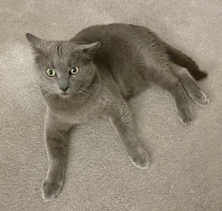 Photo of Earl