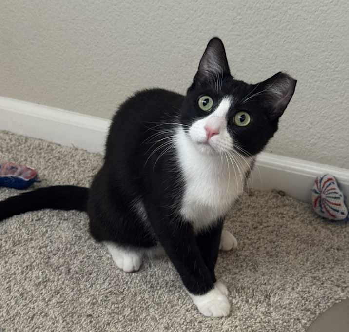 Photo of Zero