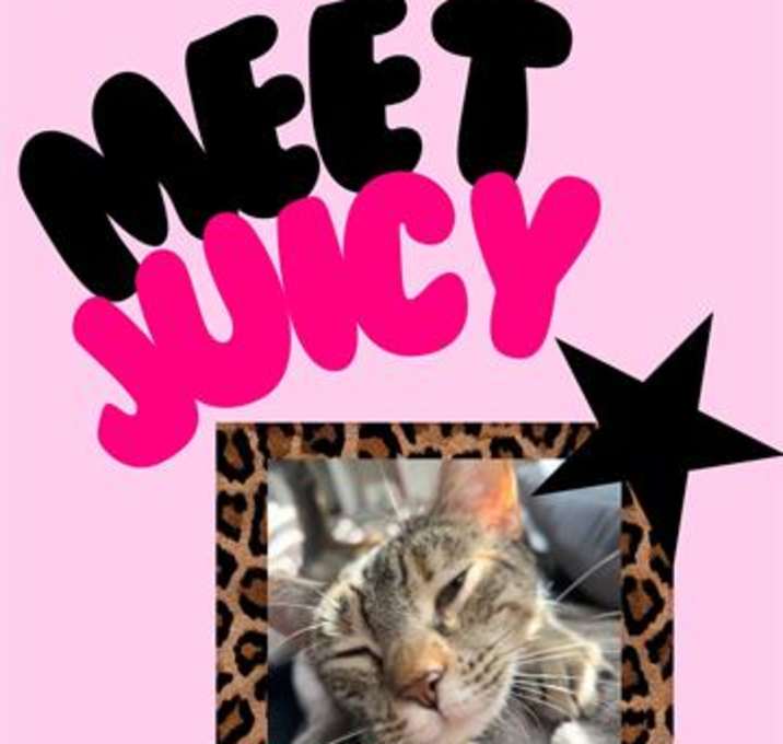 Photo of JUICY
