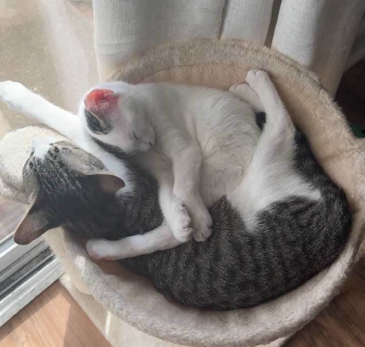 Photo of Opal and June