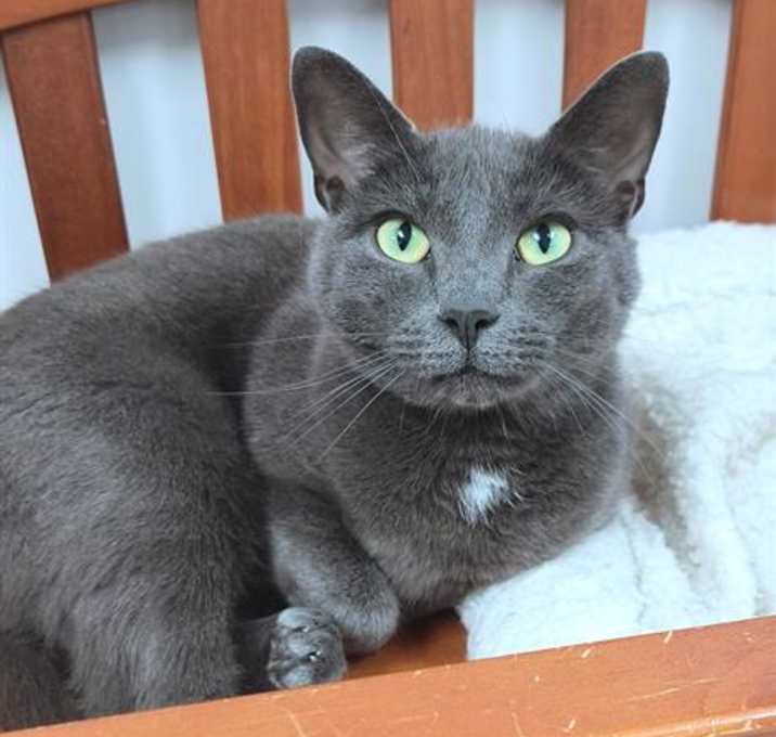 Photo of MATILDA
