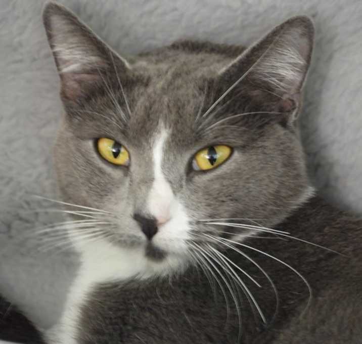 Photo of Sofia