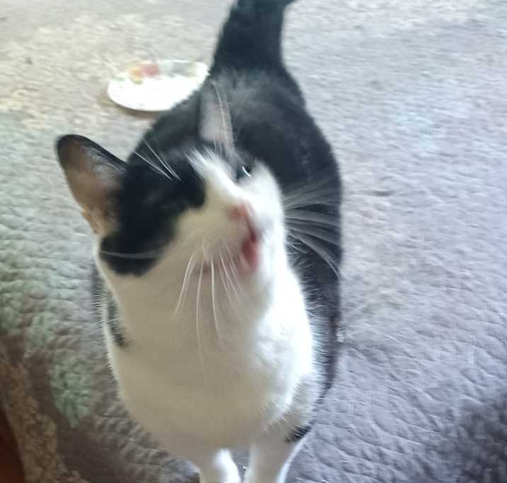 Photo of Jack