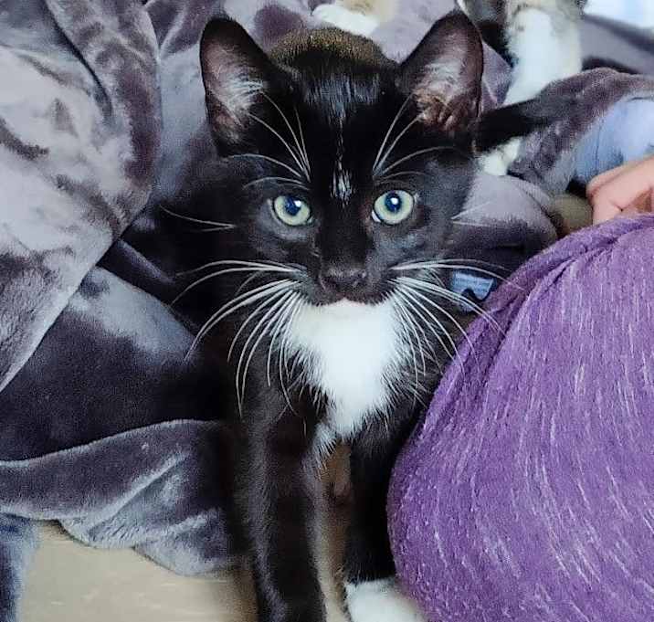 Photo of Boo