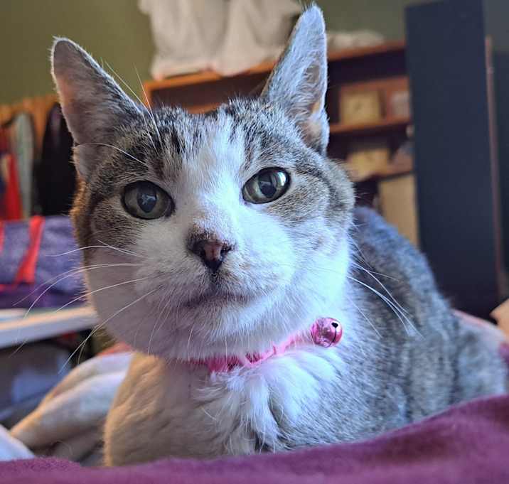 Photo of Hallie 