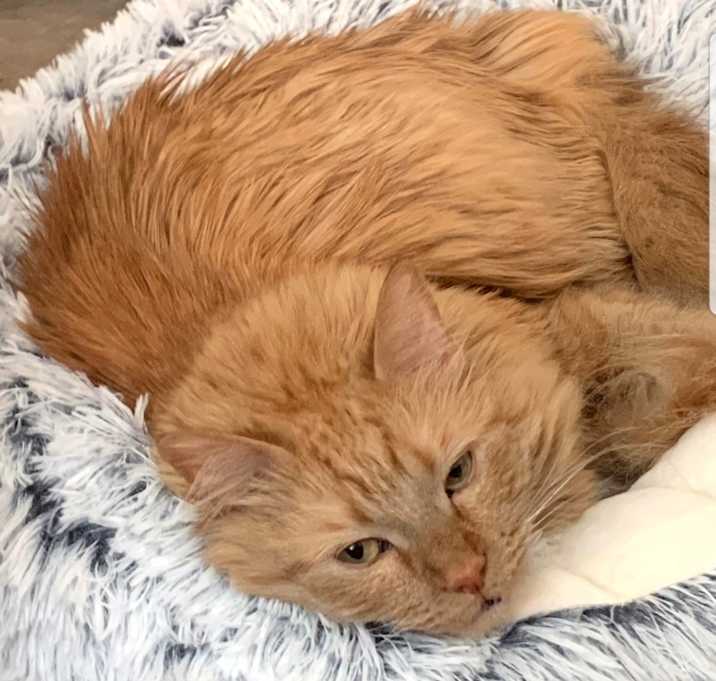Photo of Indy