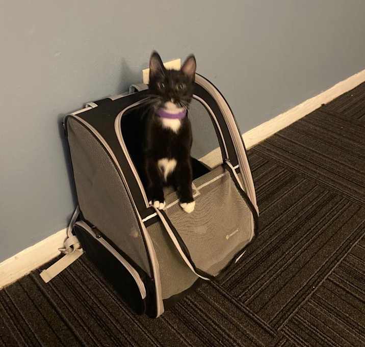 Photo of Mia
