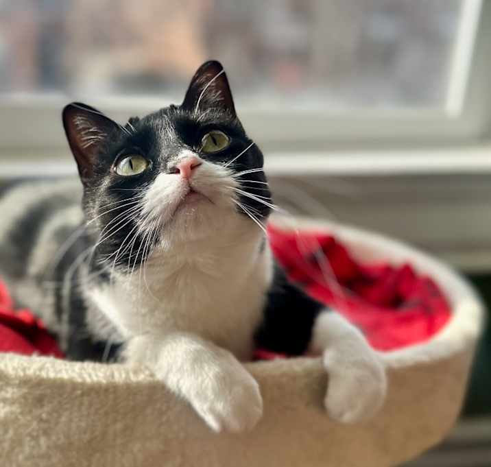 Photo of Geraldine