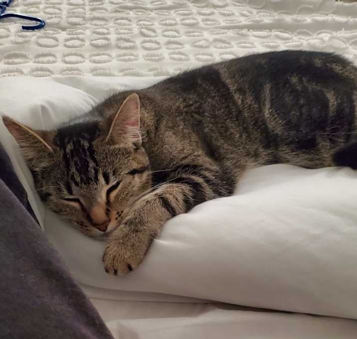Photo of Charlie