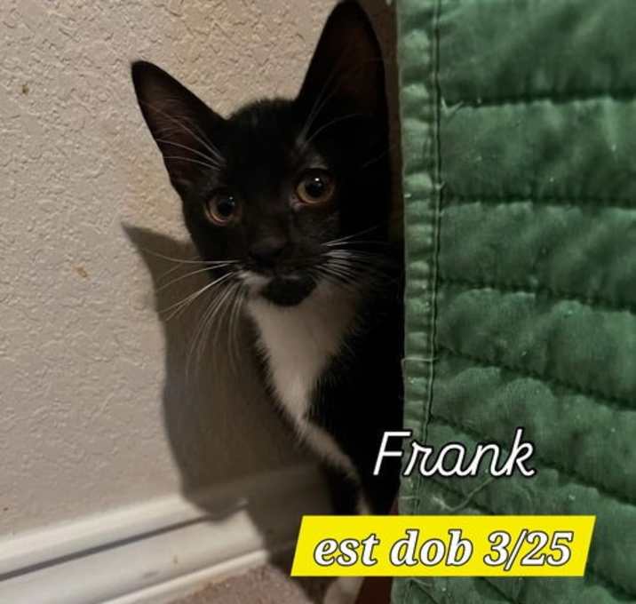 Photo of Frank
