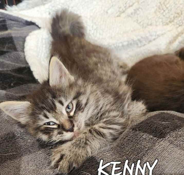 Photo of Kenny
