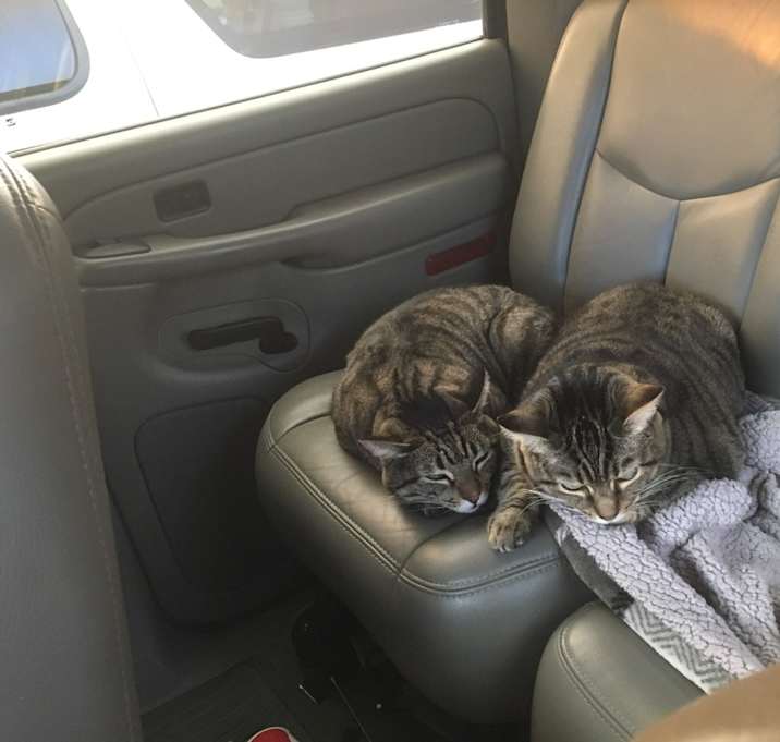 Photo of Angel and Moses