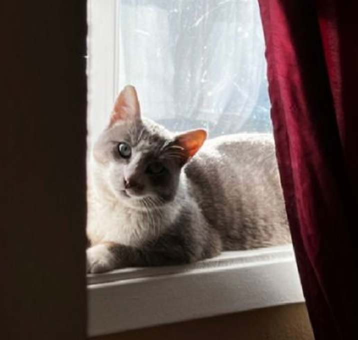 Photo of freckles