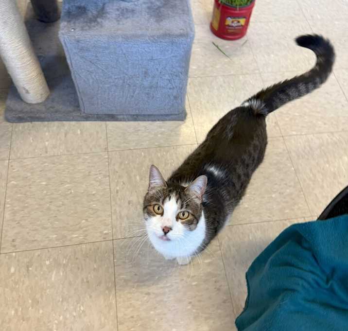 Photo of Spike