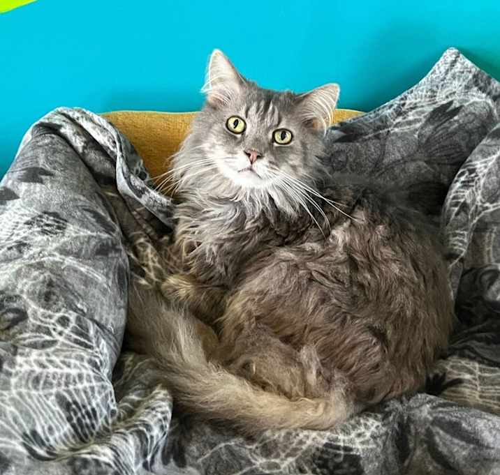 Photo of Tiny