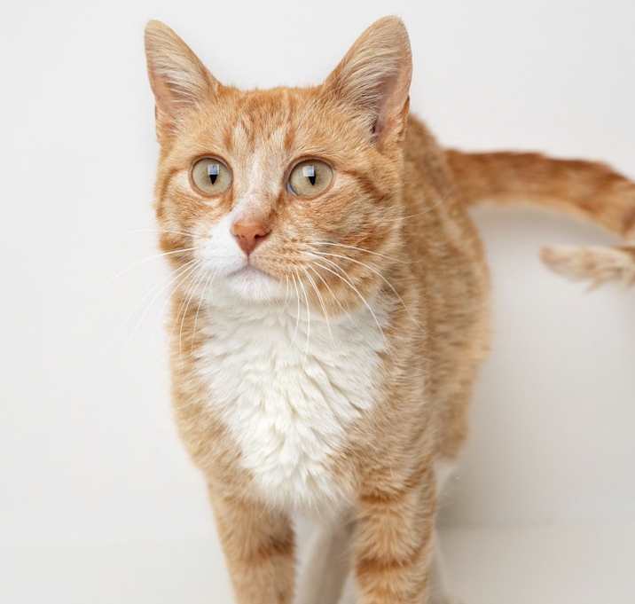 Photo of Jeri