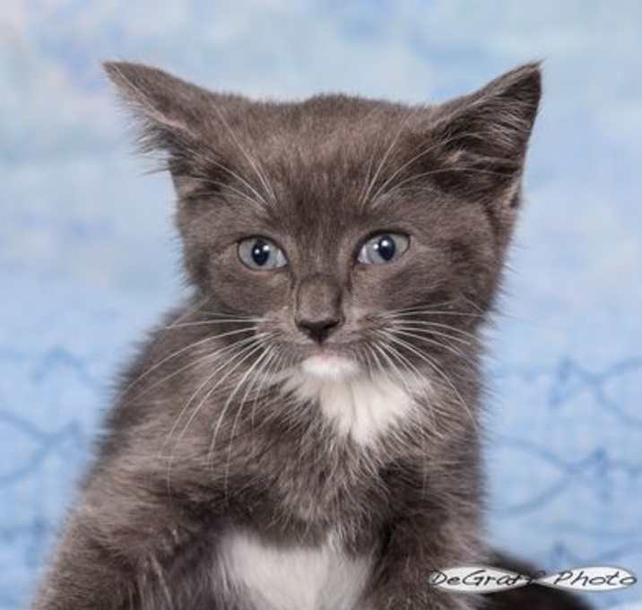 Photo of Zora