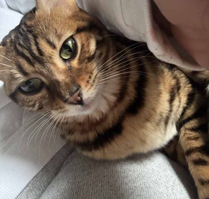 Photo of Butter