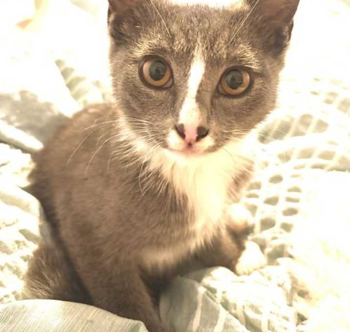 Photo of Bingo