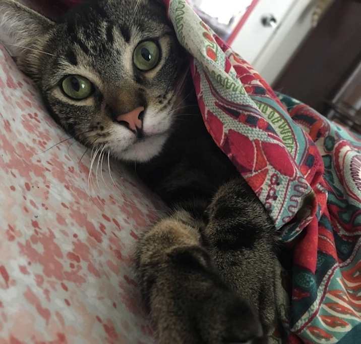 Photo of Oscar
