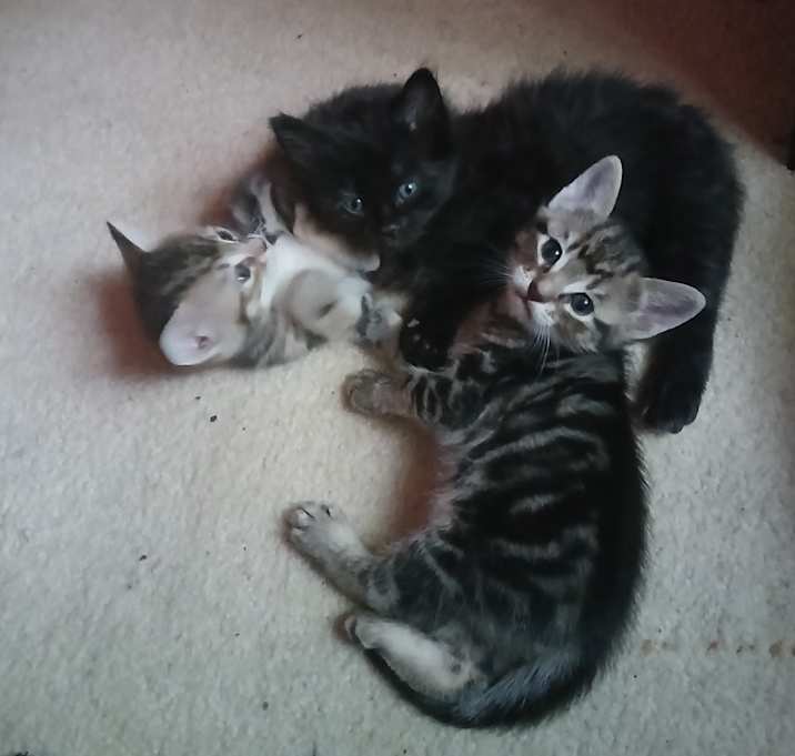 Photo of Unknown newborn